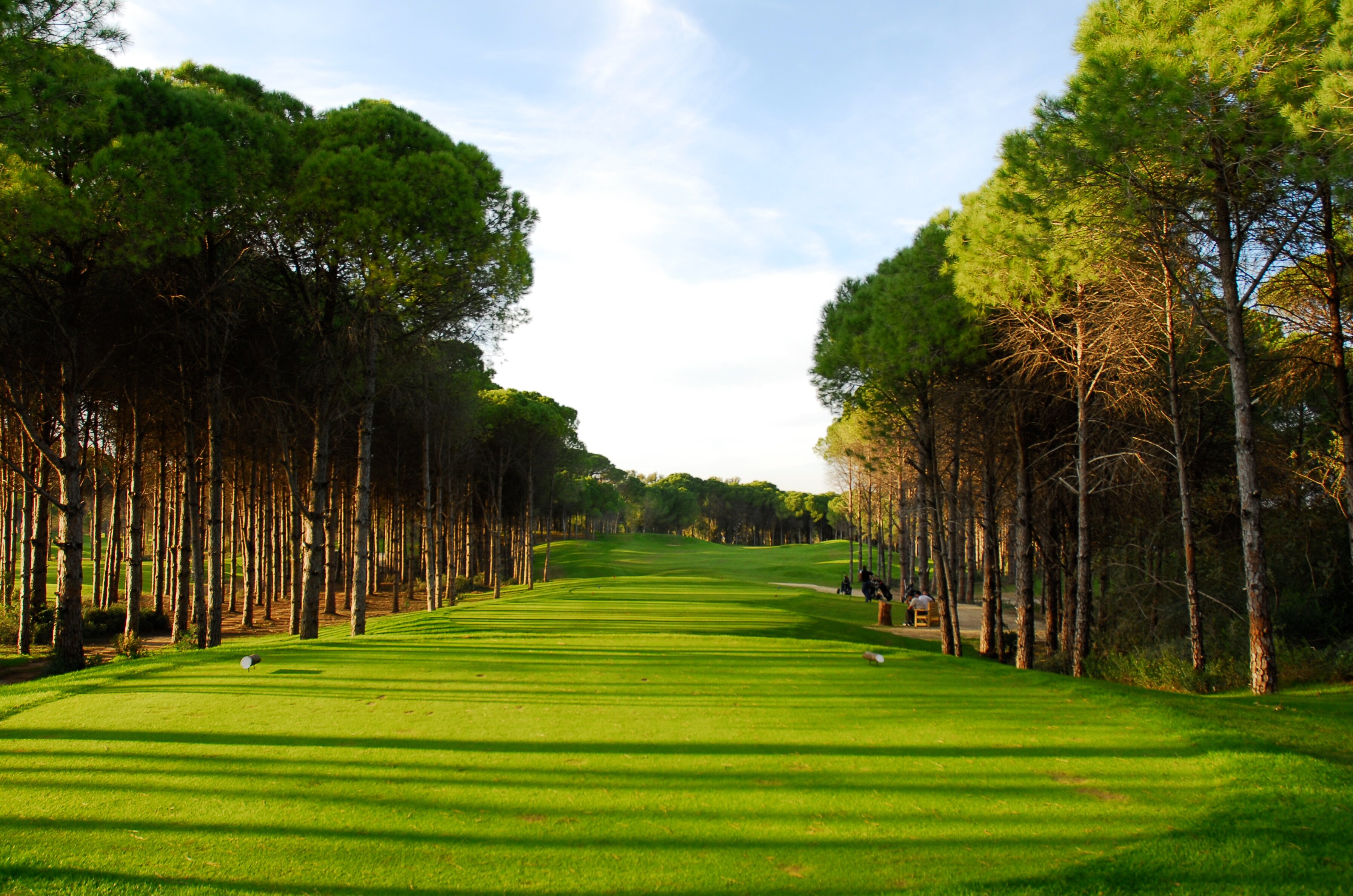 Pines Golf Course Sueno Deluxe | Pines Golf Course Sueno Deluxe |